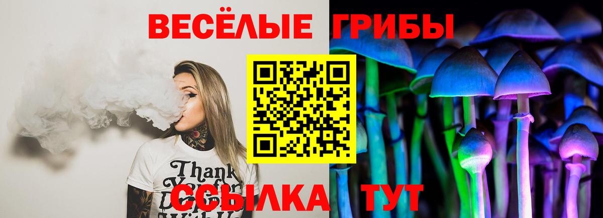 Галлюциногенные грибы мухоморы Краснокаменск